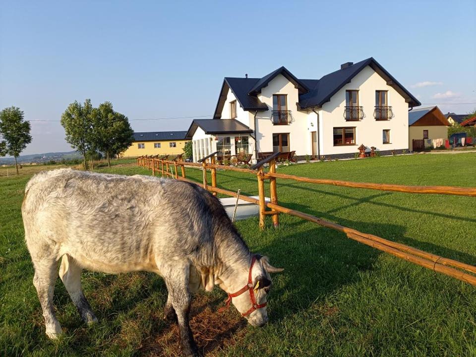 Zagroda na Borach Jablonka  Exterior foto